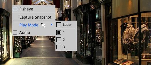 main screen. Figure 3-1 Right-click a live view grid to access the following options.