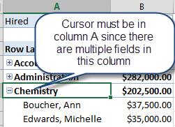 Expand/Collapse Data If the data within a PivotTables has multiple fields within a Row area, there will be a small + (plus) or (minus) button that will display to the left of the top Level fields.