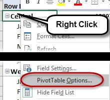 Tip: Another way to access the PivotTable options is to right click within a PivotTable and then select PivotTable options.