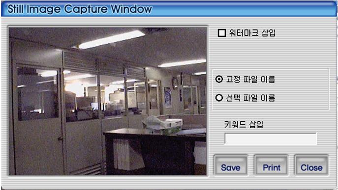 PC Client Introduction Figure 4.19. Capture 1. Watermark insertion : To insert watermark into the still image, please select the check box. 2.