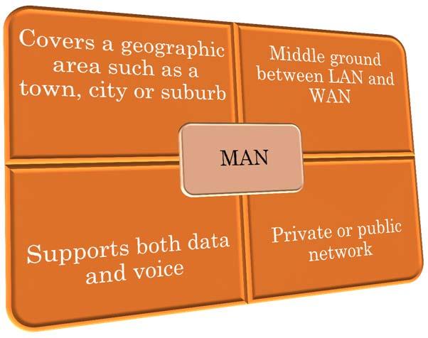 AREA NETWORKS (MAN) 24