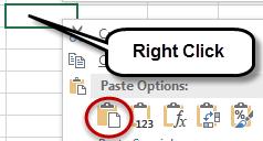 Copy, Cut, and Paste The Copy, Cut and Paste options allow users to copy or cut the data contained in a cell, or selection of cells, and then paste the data in a new location.