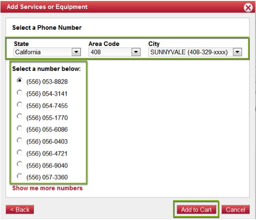 state, area code, and city for the number you are purchasing.