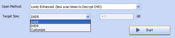 6. Select Target Size Burn DVD to a blank DVD9 disc, choose DVD9 in