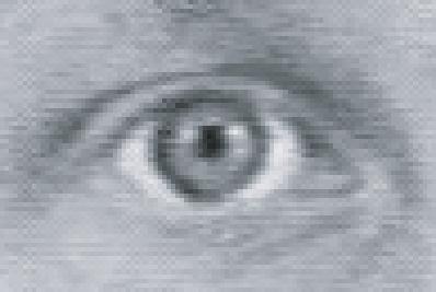 The motion parameters represent movements of the eye,