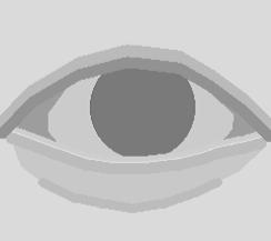 When the layer is superimposed over the iris layer, only the portion of the disk between the curves appears in the eye region model while the rest is occluded by the skin pixels.