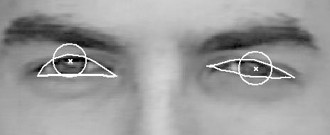 Our system can track the upper accurately in such a case, as well as single-fold s, thick s (upper s with dark and thick eyelashes), and revealing s (upper s that appear to be single-fold but reveal