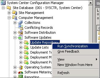 select Run Synchronization.