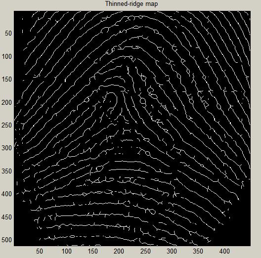 title 1101 Figure 5.Image Thinning 2.7 Match Stage The final match ratio for two fingerprints is the number of total matched pairs divided by the number of minutia of the template fingerprint.