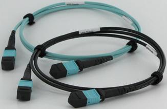 AFL manufactures a large and varied range of MTP cable assemblies to suit: 10 Gig backbone and