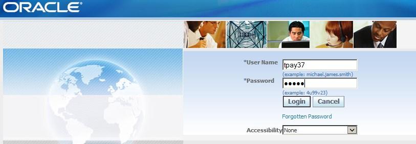 ***In this user guide tpay37 is an example username*** After you have entered your User Name and Password, click on the Login button. If you are not sure of your Password, you can reset your password.