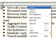 Spell Check Right click on spelling errors to display correction options or add to dictionary.