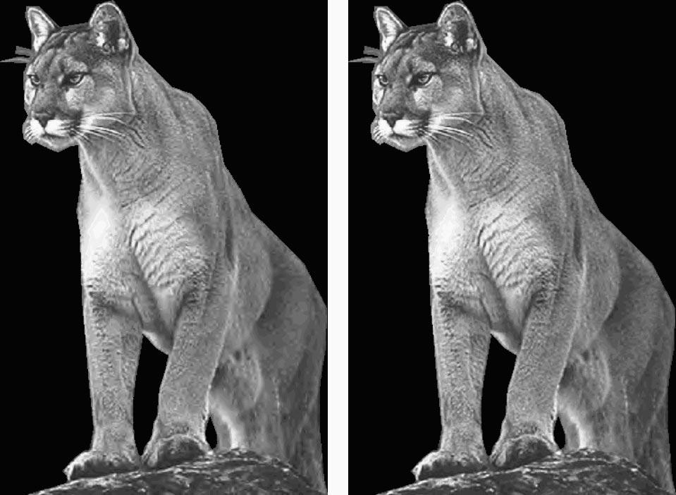 SU AND WU: LOW MEMORY ZEROTREE CODING FOR ARBITRARILY SHAPED OBJECTS 281 Fig. 13. (a) (b) LMZC reconstructed Jaguar images (a) 0.5 bpp (48 : 1), 29.175 db and (b) 1 bpp (24 : 1), 32.522 db.