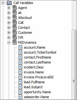 Configuring the Five9 Plus Adapter for Microsoft Dynamics CRM Configuring Search Options This figure shows a MSDynamics call variables group.