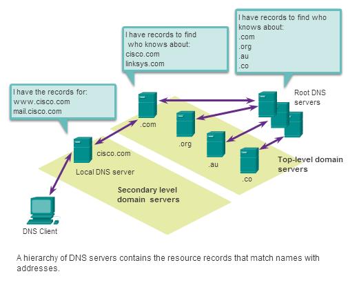 Providing IP Addressing Services DNS Hierarchy Examples toplevel domains:.