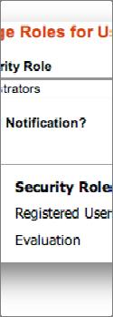 security role for this user.