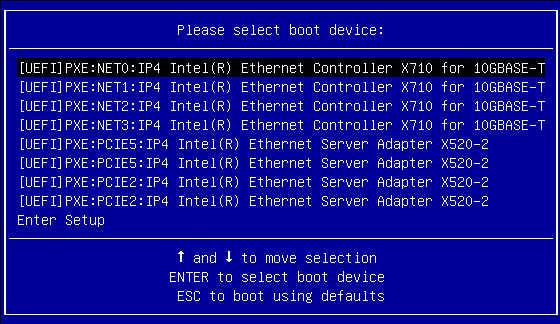 Install an OS (Media) For example, this is the menu when the BIOS is set to UEFI mode: Note - The menu that is displayed differs depending on your BIOS configuration, OS you are installing, and the