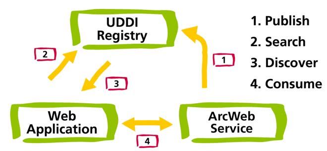WSDL UDDI ArcWeb Services use another XML syntax (and W3C standard) to communicate with local applications. A WSDL document describes an ArcWeb Service so the client knows what the service does.