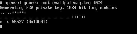 Then, switch to root using the sudo su - command. 5.2.1 Generating the Private Key The utility "openssl" is used to generate the private key and CSR.