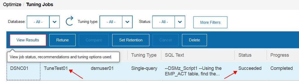 Although the Indexes check box is checked, the base version of DSM does not allow you to invoke the Index Advisor. The DSM used to create this tutorial is the Enterprise version.