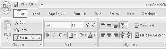 Formatting Worksheets :: 157 7.7 FORMAT PAINTER A handy feature on the standard toolbar for formatting text is the Format Painter.