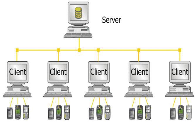 2 Server with Client and 4 Clients When selecting the MobileAsset database server configuration shown below, leave the check in the Client Tools option and the Database option.