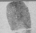 million fingerprints!)[7].