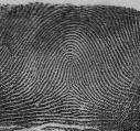 Fingerprint classification can be viewed as a coarse level matching of the fingerprints.