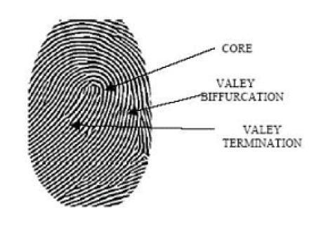 2.1.3 Adaptable Fingerprint Minutiae Extraction Algorithm Based-On Crossing Number Method For Hardware Implementation Using Fpga Device [3] This fingerprint recognition system focused in developing