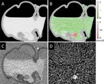 K-edge Agents Towards In-vivo Dual-Contrast Imaging Gold nanoparticles targeted to atherosclerosis (Au-HDL) Colon phantom Iodine for fecal