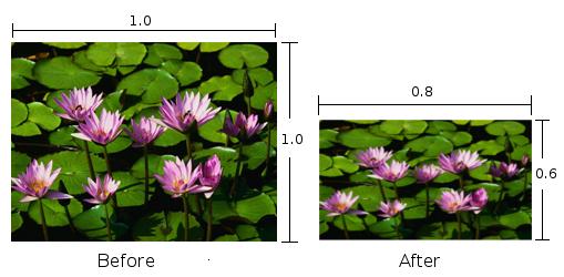 5), for example, to scale down the image to half the original size. The following photos show the result. Use $image.scale($diagram.image, 0.8, 0.