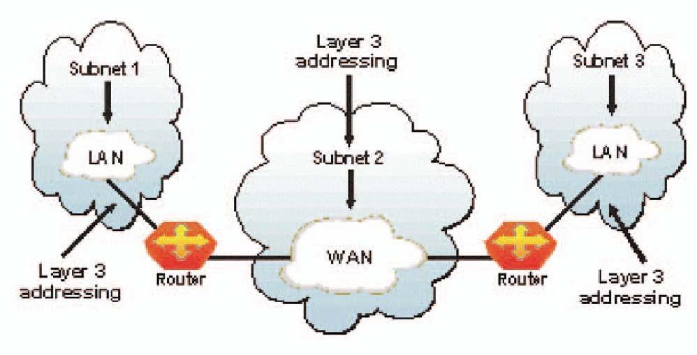 MAC address. A switch uses this address to filter and forward traffic, helping relieve congestion and collisions on a network segment.
