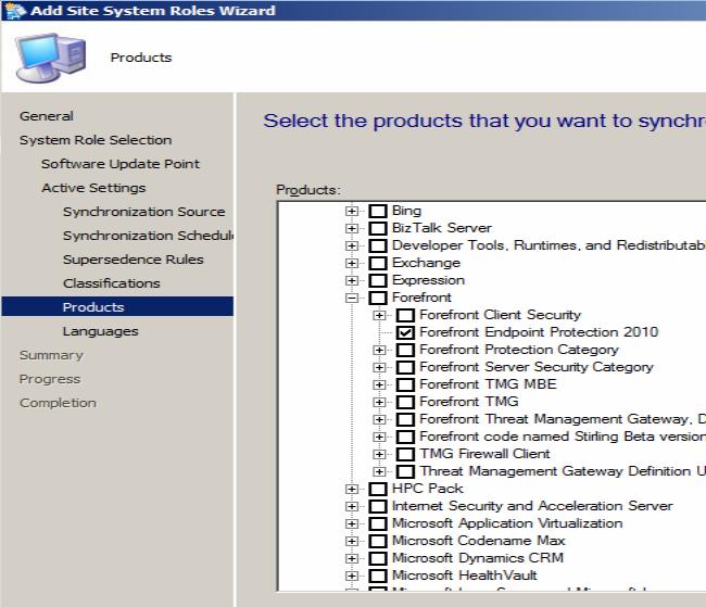 8. On the Products page of the wizard, Select all of the products you wish to update. Make sure you include Forefront Endpoint Protection 2010. 9. On the Languages page of the wizard, Select English.