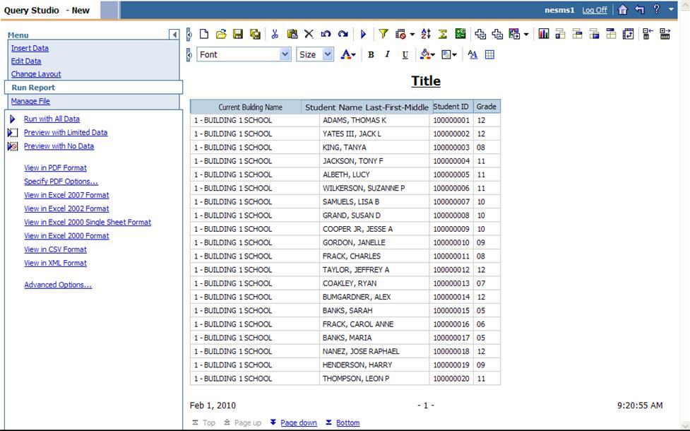 4. Select and insert all needed data items onto the workspace. By default, items placed in the work area will display the actual data from all records matching any filter that has been set.