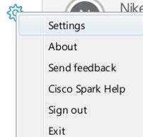 Options Click the Gear icon to view your Spark settings and preferences.