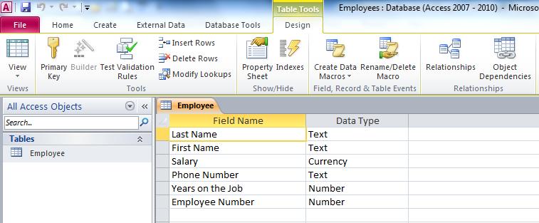 The assignment requires you to enter the Field Names and select the correct Data Type for each.