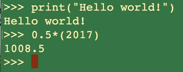 This opens the Python Interpreter, where you can run Python code directly in the terminal by typing python and