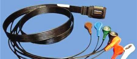 Cable BSK032C 10-Lead Banana ML1112 Cabo Welch Allyn Cabo Holter Welch Allyn Modelo