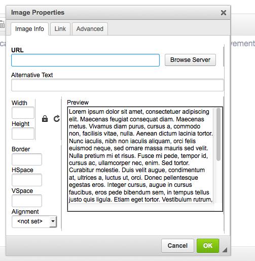 Using the WYSIWYG: Adding Images Note: Images should be jpg, gif, or png files.