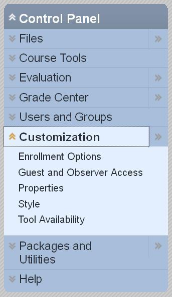 CONTROL PANEL Customization / Settings and Course Design Instructors can make a course available by clicking the Properties