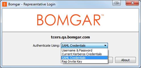 Log in Using SAML Single Sign-On Users can utilize SAML single sign-on to gain access to the representative console or /login interface.