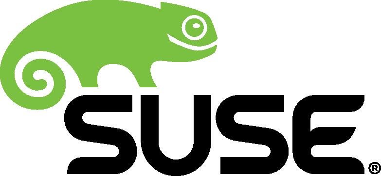 SUSE Linux Enterprise Server Enterprise class Linux distribution: Over 3,000 packages File and Print, Database, Mail, Web, etc.