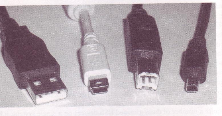 IEEE 1394 (FireWire): Although most people think of FireWire as a tool for connecting their digital camcorders to their computers, it s much more than that.