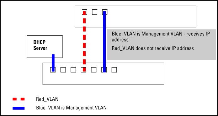 Examples Example 26 DHCP server on a Management VLAN If Blue_VLAN is configured as the Management VLAN and the DHCP server is also on Blue_VLAN, Blue_VLAN receives an IP address.
