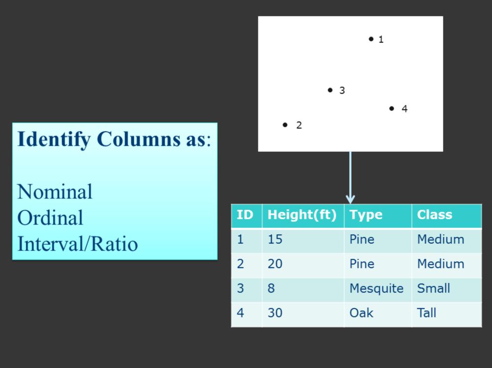 Now you know the four different attribute categories, let s take a look at an example data set and its related attribute table.