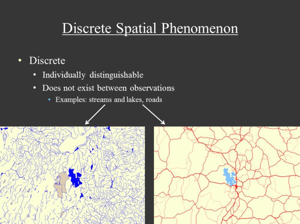 A discrete spatial phenomenon is anything that exists that is individually distinguishable. It has well-defined boundaries and it is easy to see where it begins and ends.