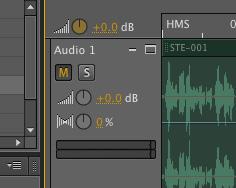 Controls on Audio Tracks Name field: As the name implies, this allows you to change the name of a track. You should always name your tracks to avoid confusion in the long run.