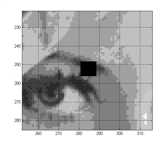 Image Close-p Compression DCT-based JPEG