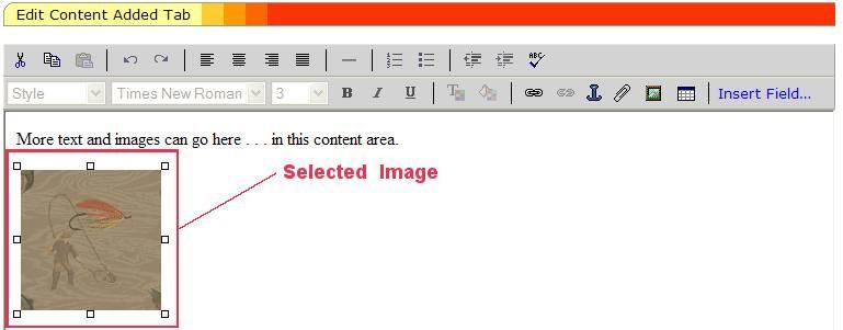 5. On the Edit Content toolbar, click the Insert Link icon. The following screen is displayed: 6.