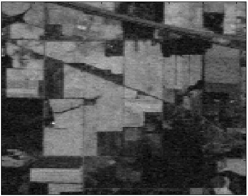 Figure 2: Original image and groundtruth image of Indian Pines(from Remote sensing scenes) Salinas A scene, SalinasA, 1.5 MB.